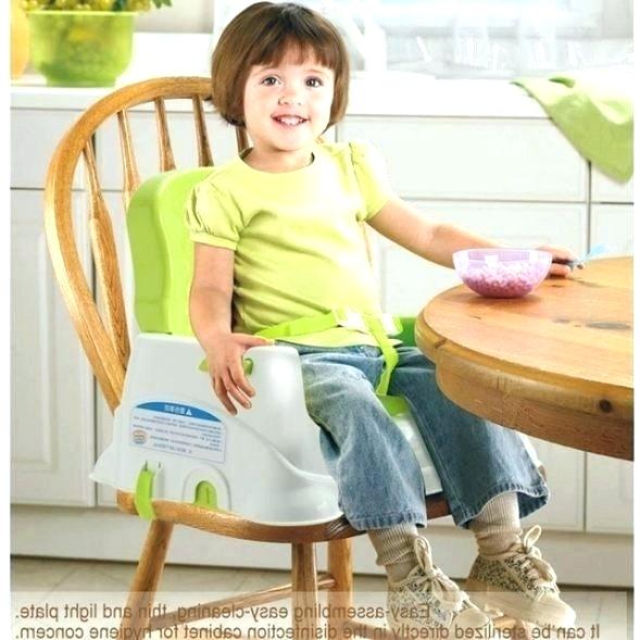 3 in 1 Healthcare Booster Seat