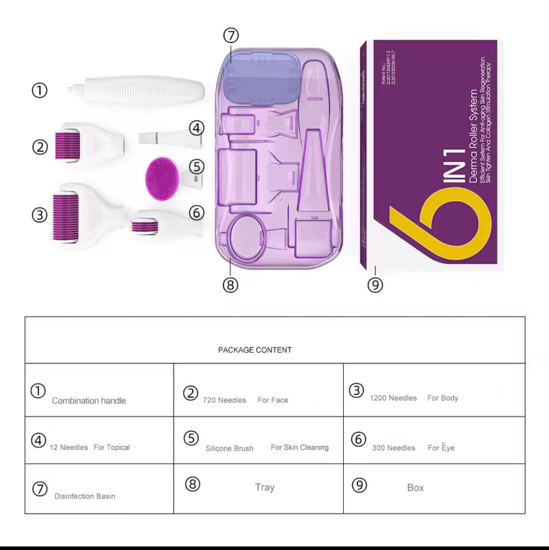 6 in 1 Derma Roller