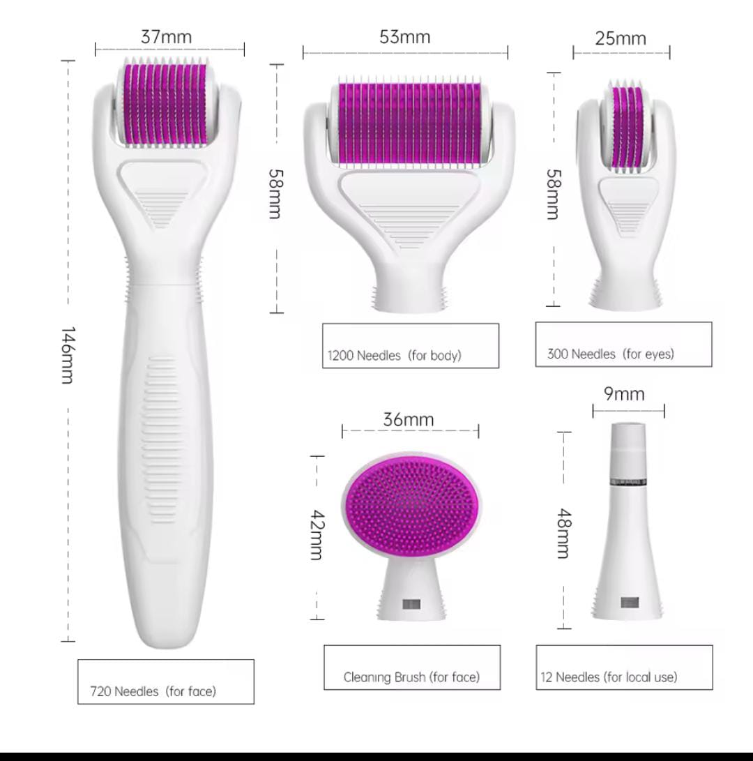 6 in 1 Derma Roller