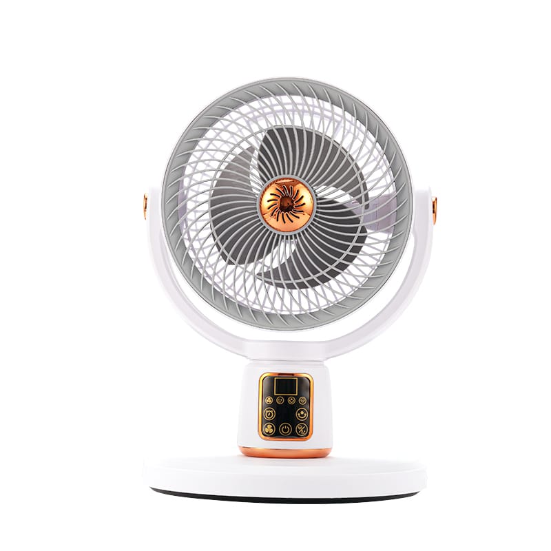 Rechargeable fan