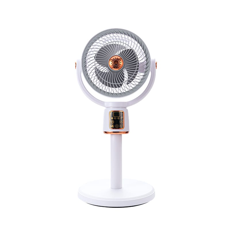 Rechargeable fan