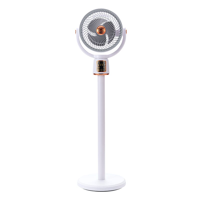 Rechargeable fan