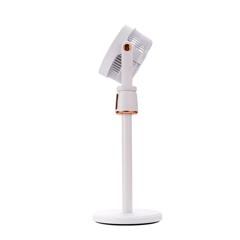 Rechargeable fan