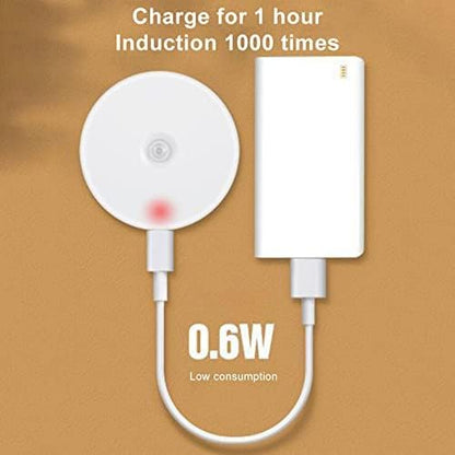 Intelligent night light home wardrobe storage USB light charging