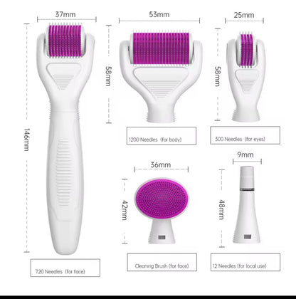 6 in 1 Derma Roller