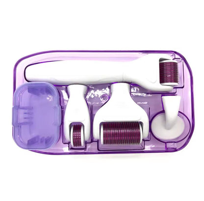 6 in 1 Derma Roller