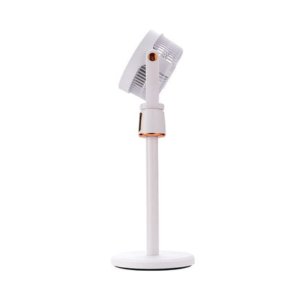Rechargeable fan
